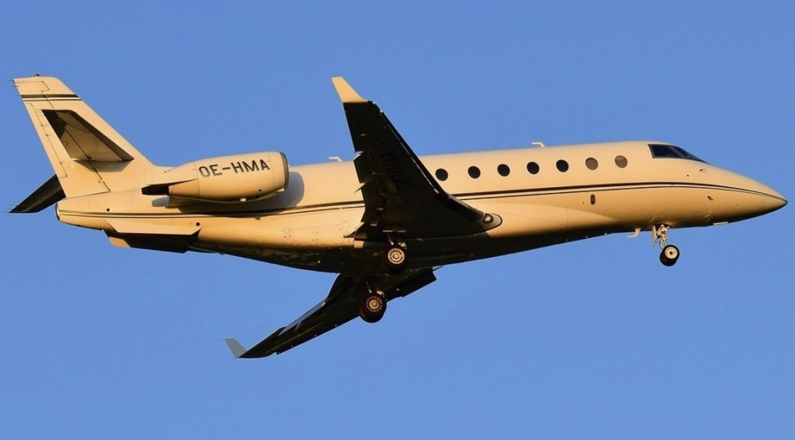 Screen Shot 2021-06-08 at 11.38.42 PM.png